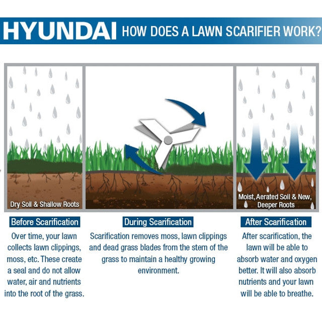 Hyundai Petrol Lawn Scarifier & Aerator 2-in-1 – 212cc Engine, 400mm Width, 45L Catcher (HYSC210)